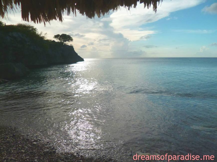 1009720_389480587854839_1368299379_o