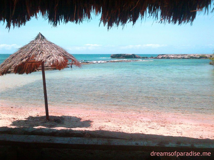 1465986_371724829630415_854001001_o