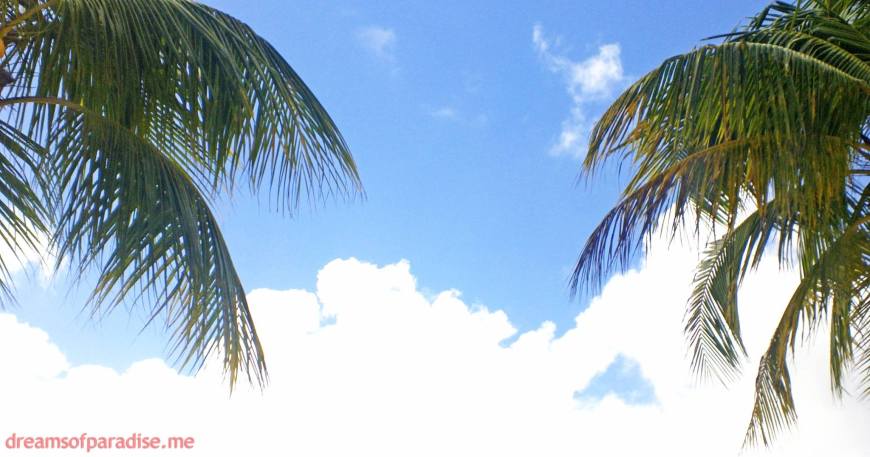 1511452_381085528694345_1366810279_o