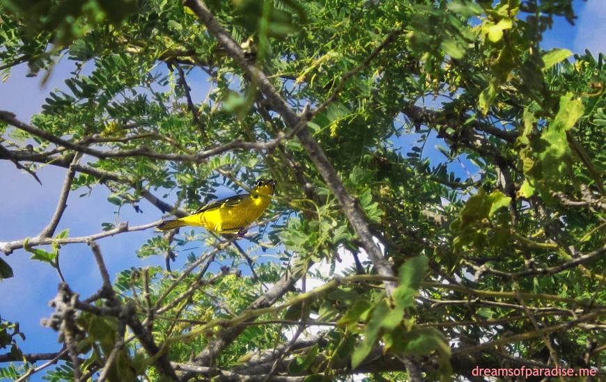 1979951_420081108128120_1494815426_o