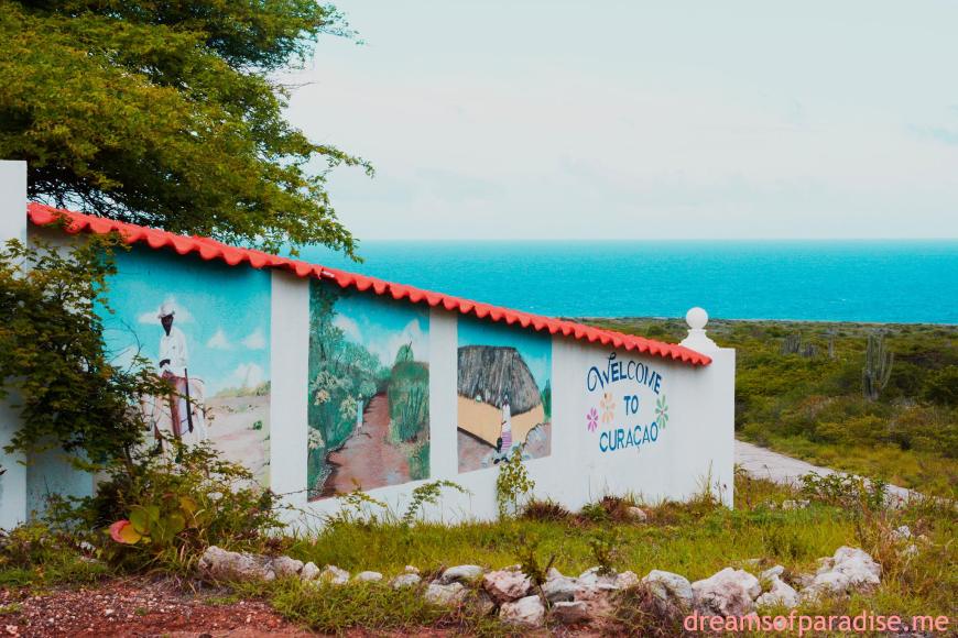 903535_378802575589307_1690641113_o