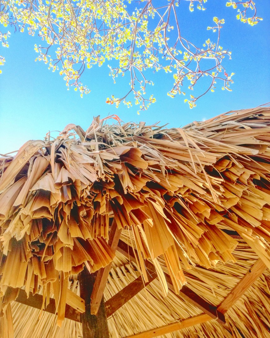 img_20161129_131125-1